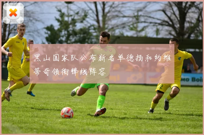 黑山国家队公布新名单德扬和约维蒂奇领衔锋线阵容