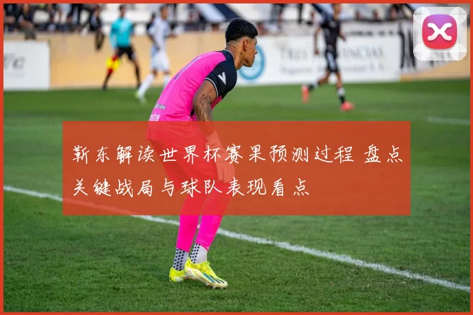靳东解读世界杯赛果预测过程 盘点关键战局与球队表现看点