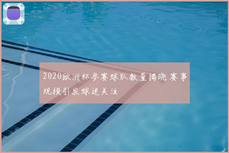 2020欧洲杯参赛球队数量揭晓 赛事规模引发球迷关注