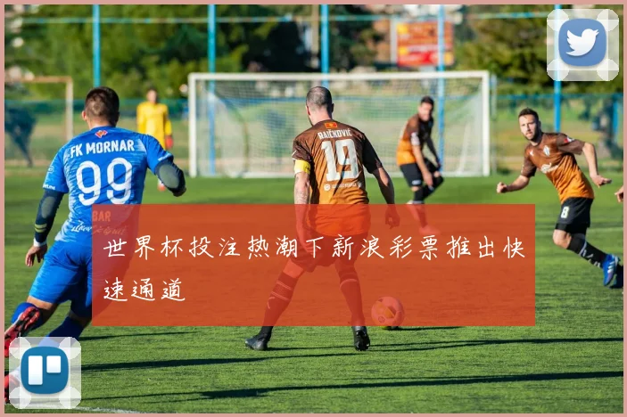 世界杯投注热潮下新浪彩票推出快速通道