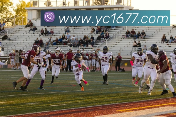 多媒体互动体验